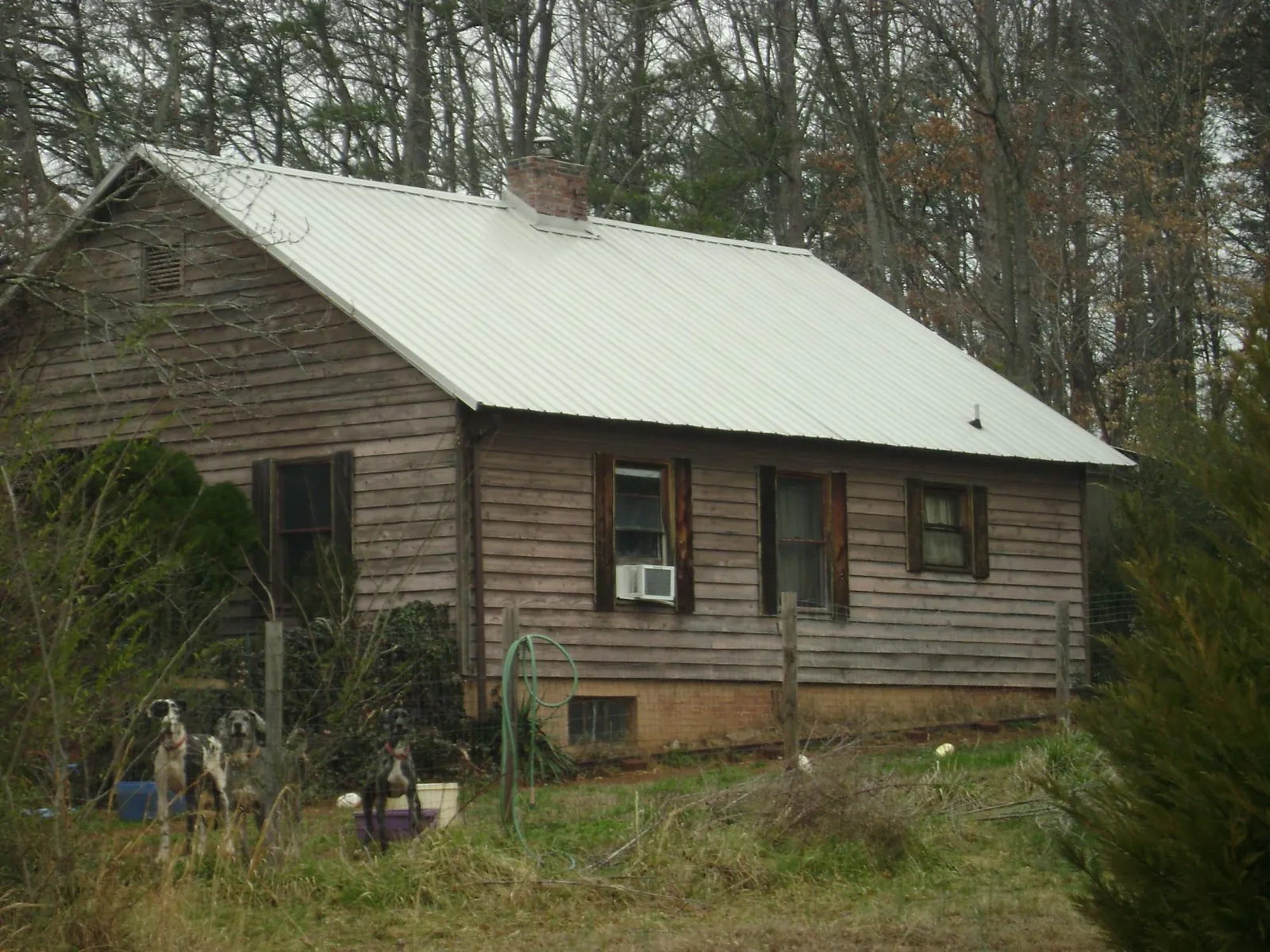 White metal roof on an old wood sided farmhouse, from a Asphalt Shingle Roof Repair job in Simms
